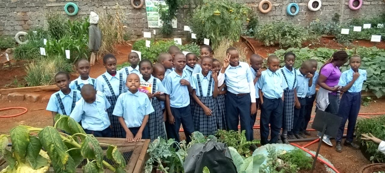 Image 13